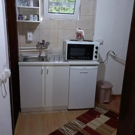 Apartment Mir
