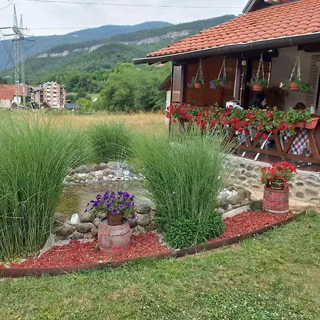 Apartment Mir