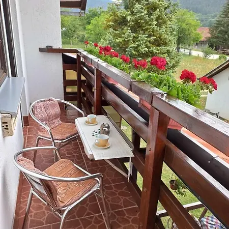 Mir Apartament Mokra Gora