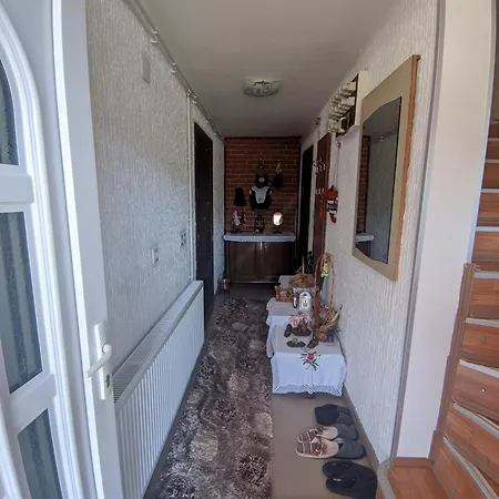 Apartment Mir